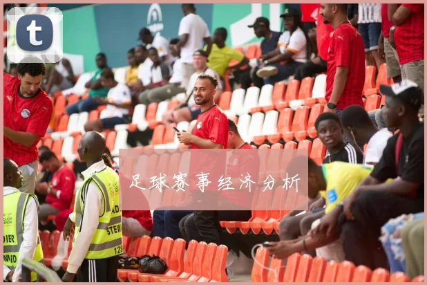 足球赛事经济分析