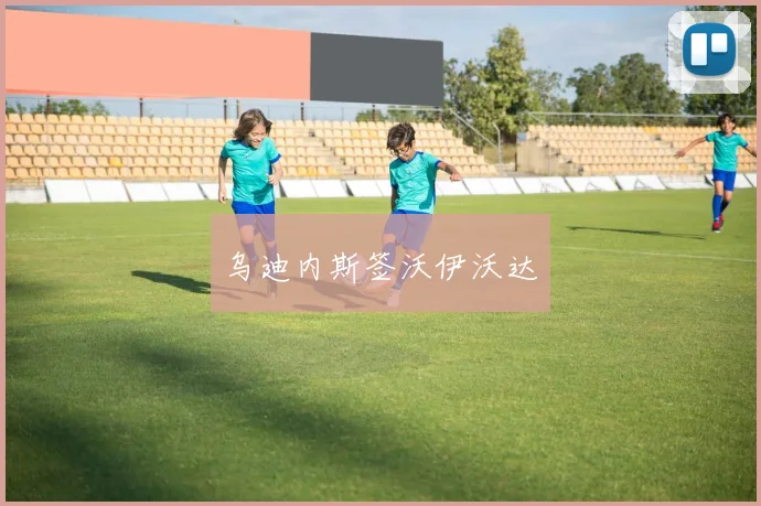 乌迪内斯签沃伊沃达